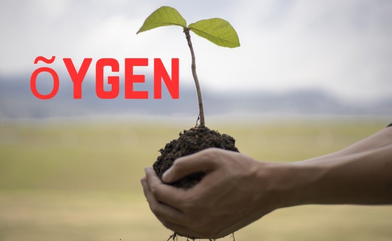 the-oygen-connection-understanding-its-impact-on-wellness